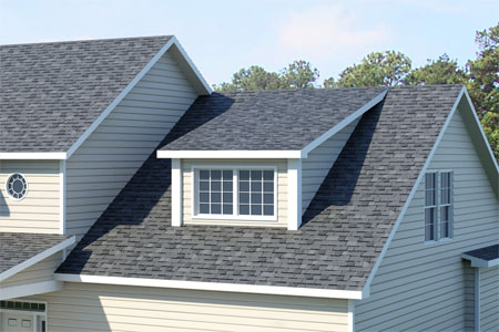 Dormer Shed